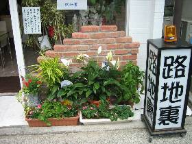 入口には緑がいっぱい